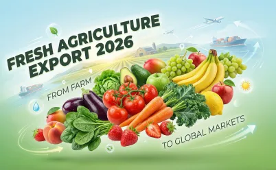 FRESH AGRICULTURE EXPORT 2026