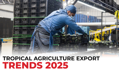 TROPICAL AGRICULTURE EXPORT 2025: OPPORTUNITIES FOR GLOBAL BUYERS